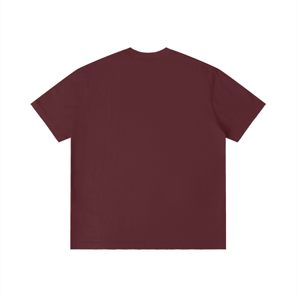 Unisex Vintage Wash Distressed Logo T-Shirt