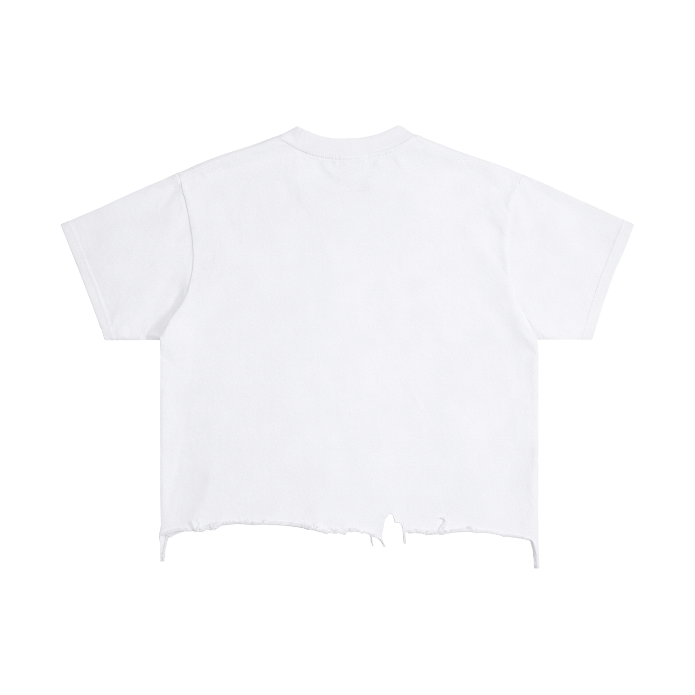 Vintage Wash Boxy Distressed Hem Graphic T-Shirt